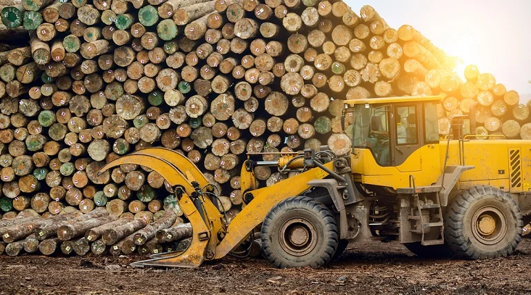 erdészeti tevékenységek szolgáltatásaink